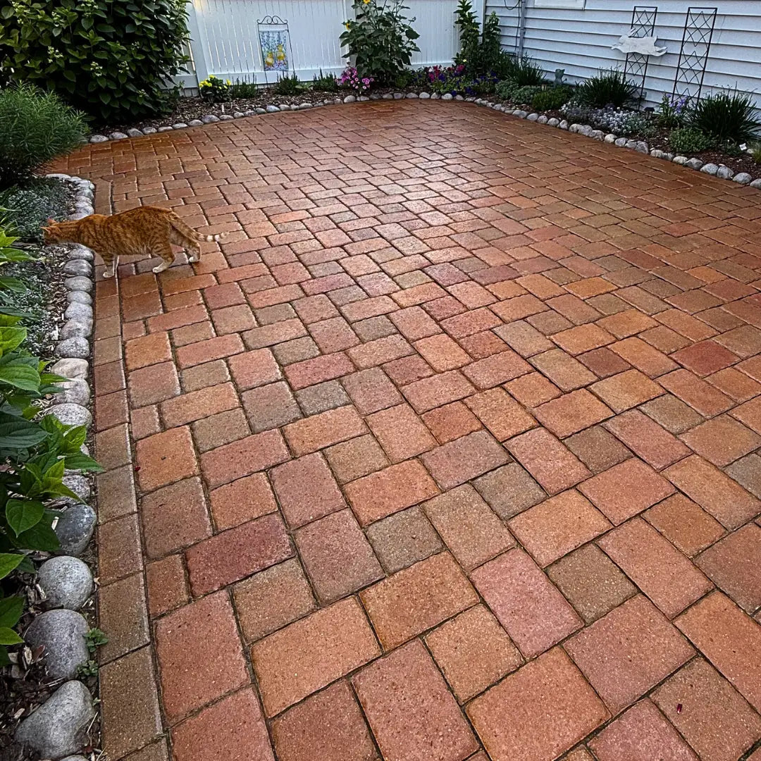 ColorWave_-_Outdoors_3 ColorWave_-_Outdoors_3