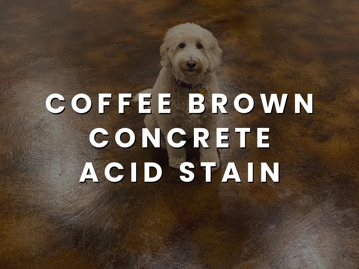 Finished rec room floor with a glossy, stained concrete surface and a dog sitting happily.