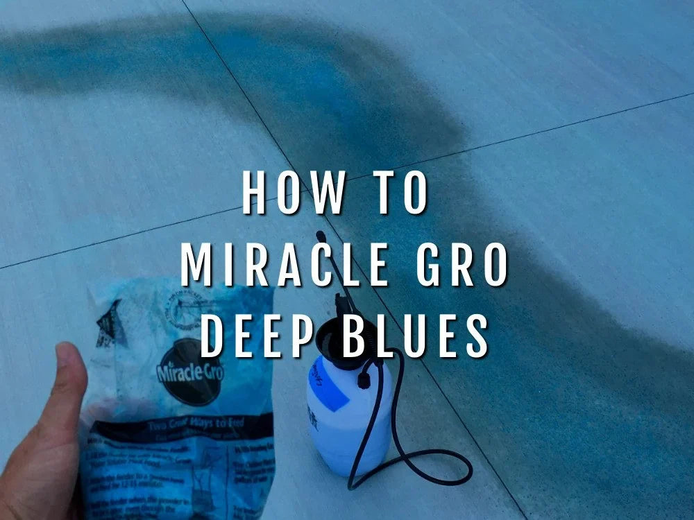 How to Use Miracle Gro to Enhance Blue Acid