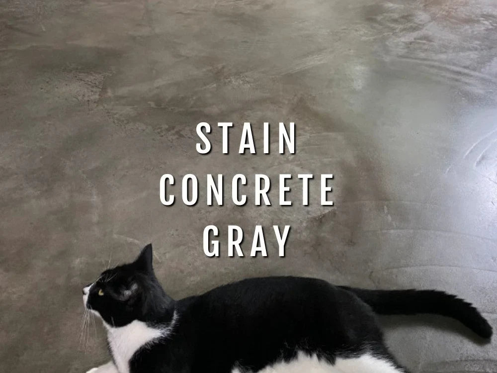 Stain Concrete Gray