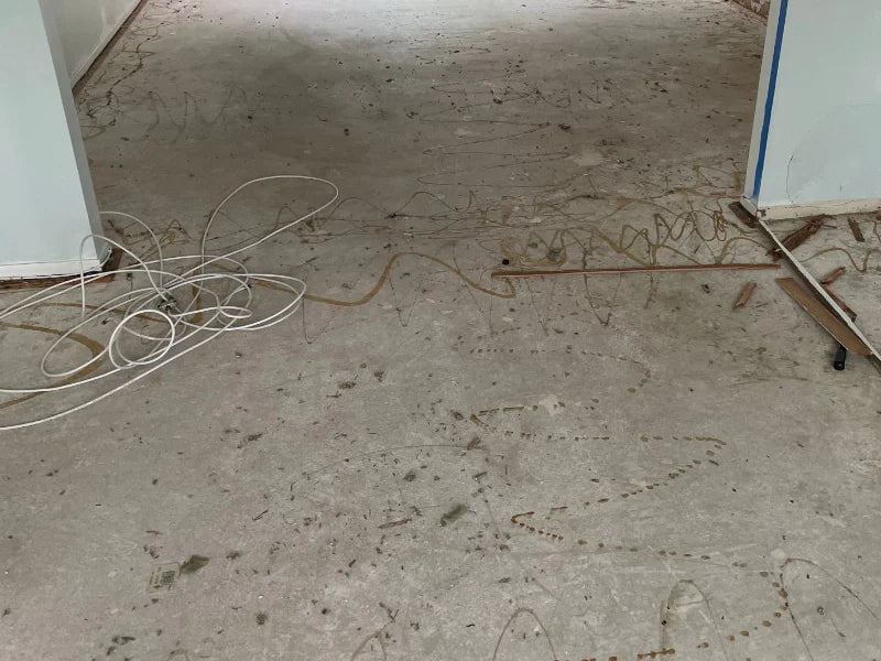 Concrete floor after removing carpet