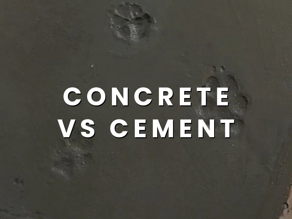 Dog Paws Prints on Concrete