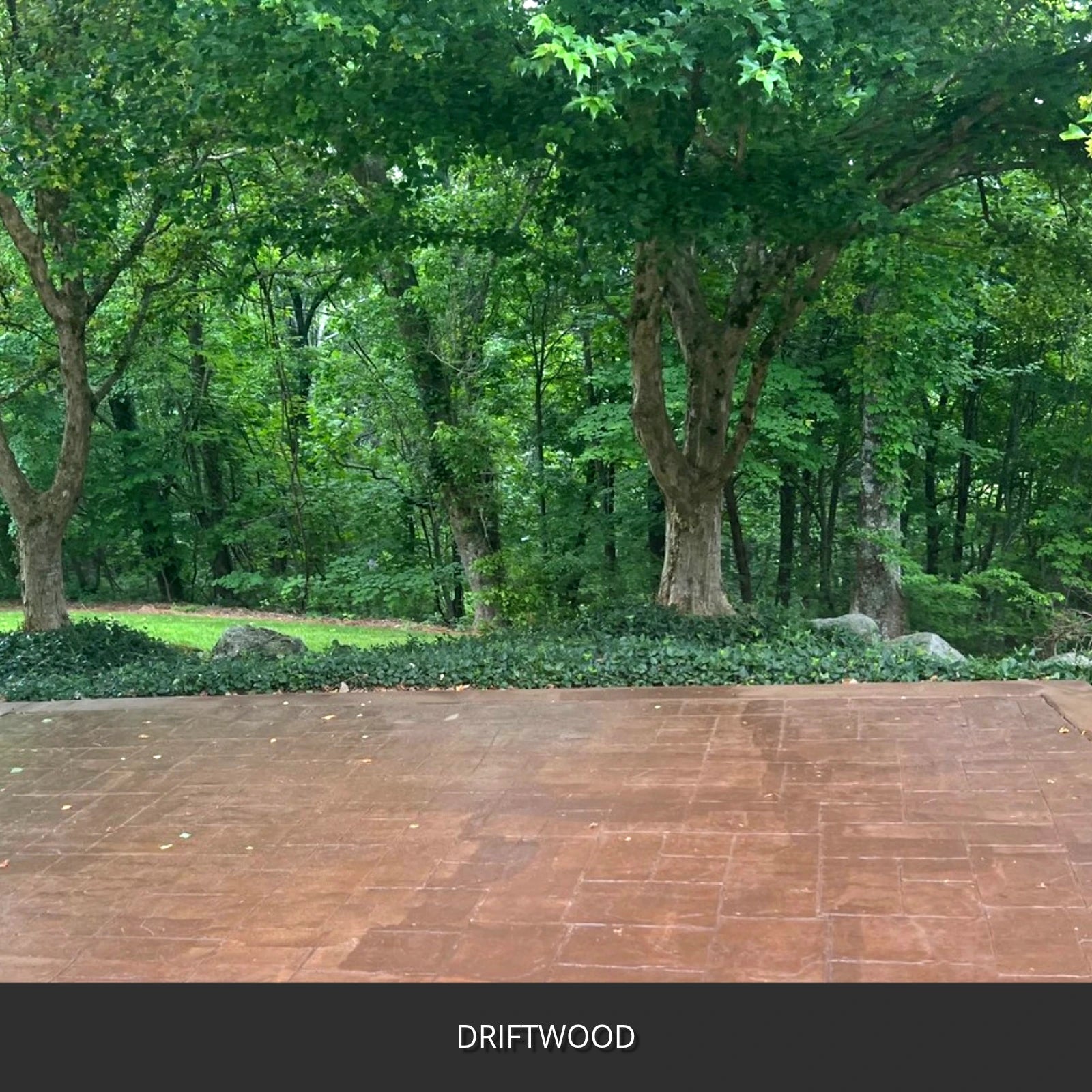 EasyTint™ Tinted Concrete Sealer