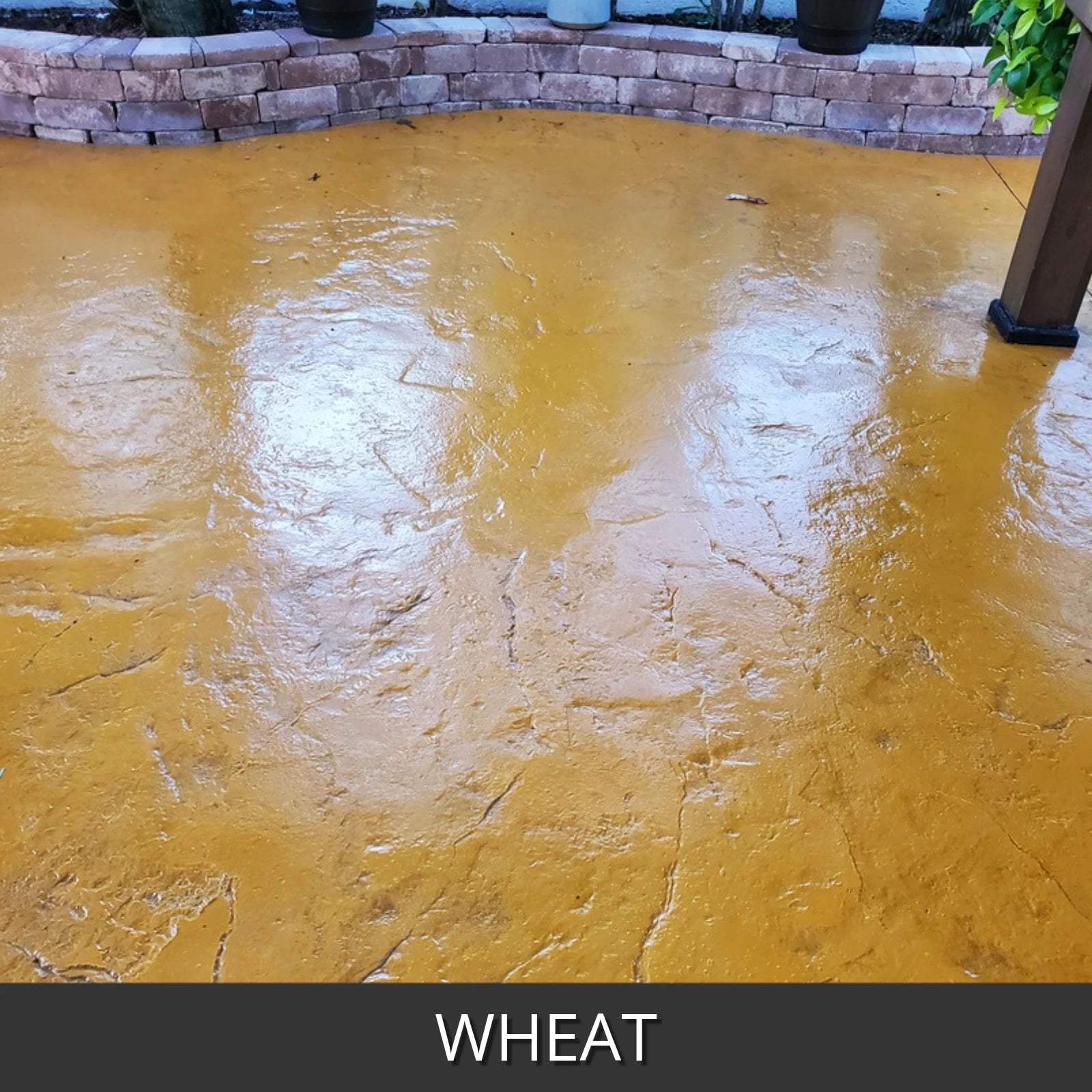 EasyTint™ Tinted Concrete Sealer