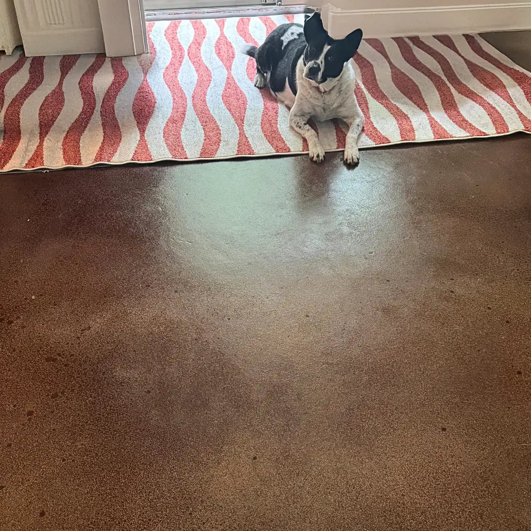 Dog sitting on a red and white striped rug on a brown floor.