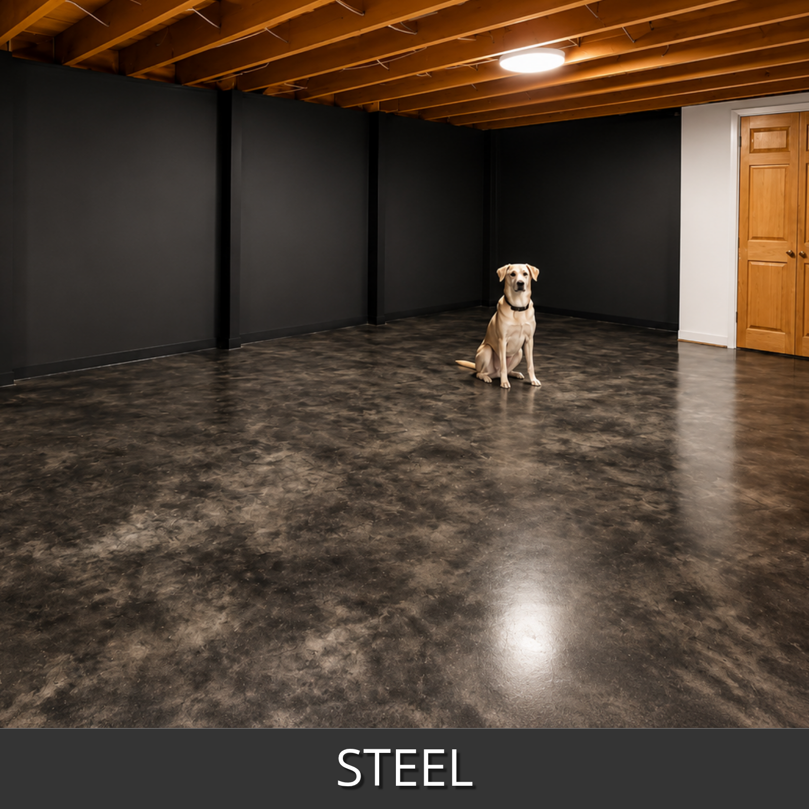 A dog sits in a large room with steel colorwave stained concrete floors and a wood ceiling