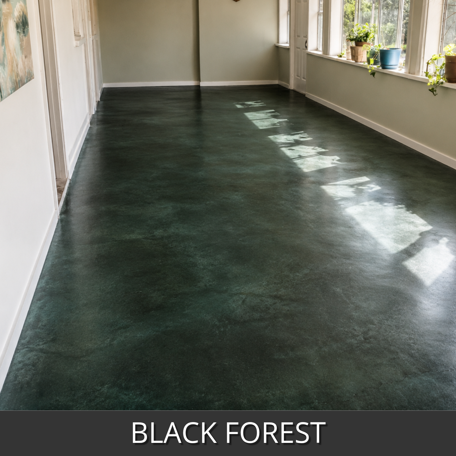 A large interior room with a glossy black forest colorwave stained floor
