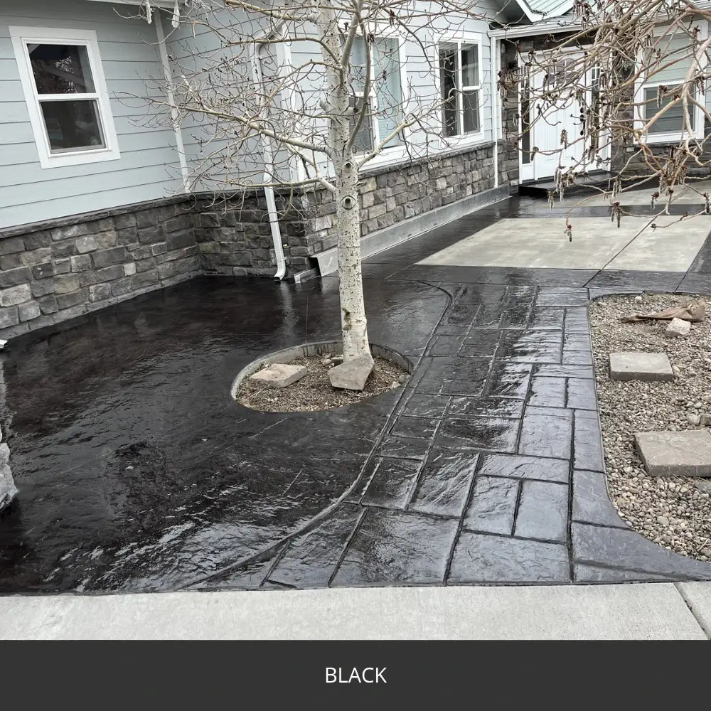 Sealed concrete walkway and patio around a birch tree, EasyTint™ Tinted Concrete Sealer in 503 Black