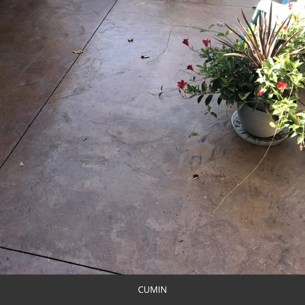 Sealed concrete patio with a planter and fallen leaves, EasyTint™ Tinted Concrete Sealer in 510 Cumin