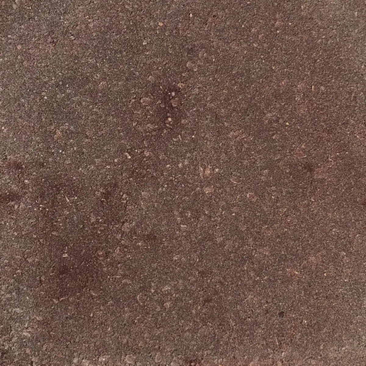 1 gallon of Portico™ Paver Stain in 708 Cinnabar
