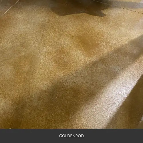 AcquaTint™ Interior Professional System