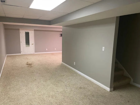 Carpeted Basement