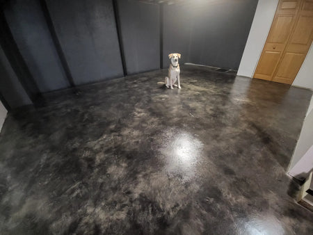 A pawsitively beautiful transformation: polished basement floor showcasing a stone-like appearance