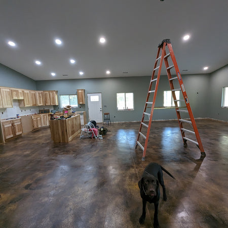Fully stained shed house interior with kitchen and a dog, showcasing brown acid stained concrete floors