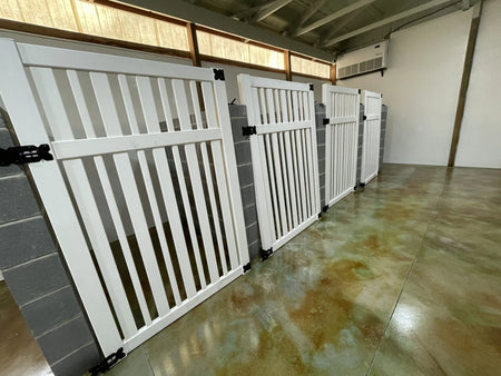 Dog stall area with EverStain Avocado and Malayan Buff acid-stained concrete floor, showing a glossy green marbleized finish beside white stall gates