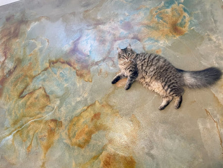 Pet Friendly Acid Stained Concrete Floor