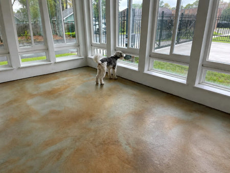 Cola Malayan Buff and Seagrass acid stained concrete floor in a sunroom with a dog