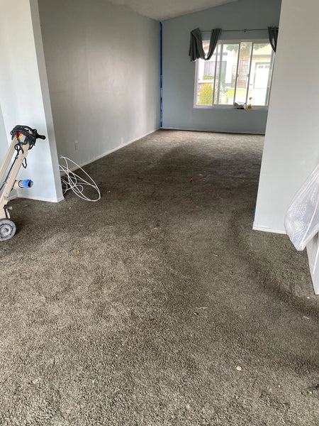 Old stained carpet