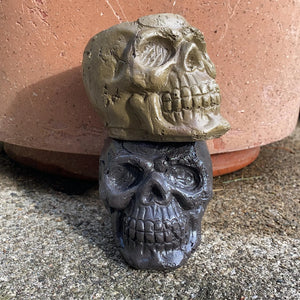 Concrete Skulls by Danielle G