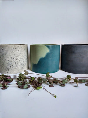 concrete planters by @wellplantedco
