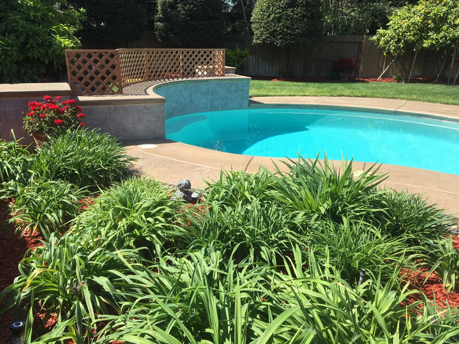 After photo of the spa area showing the revitalized stamped concrete, now stained in Khaki and sealed for a slip-free finish