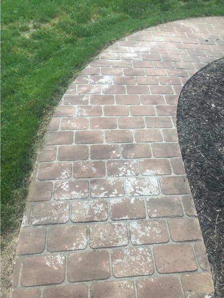 Paver walkway with efflorescence and fading before staining with Cafe Royale Portico™ Paver Stain
