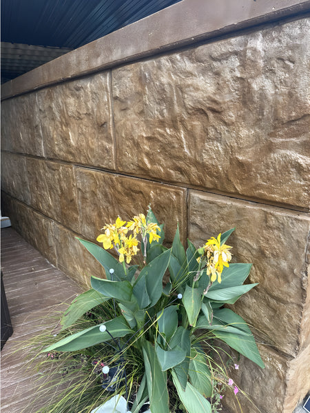 Stamped concrete retaining wall finished with Cafe Royale EasyTint™ tinted sealer, showing deep golden-brown tones and a natural stone texture beside green plants