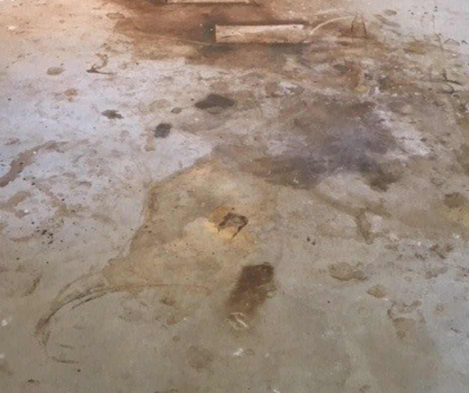 Concrete Floor Before Carpet Glue Removal