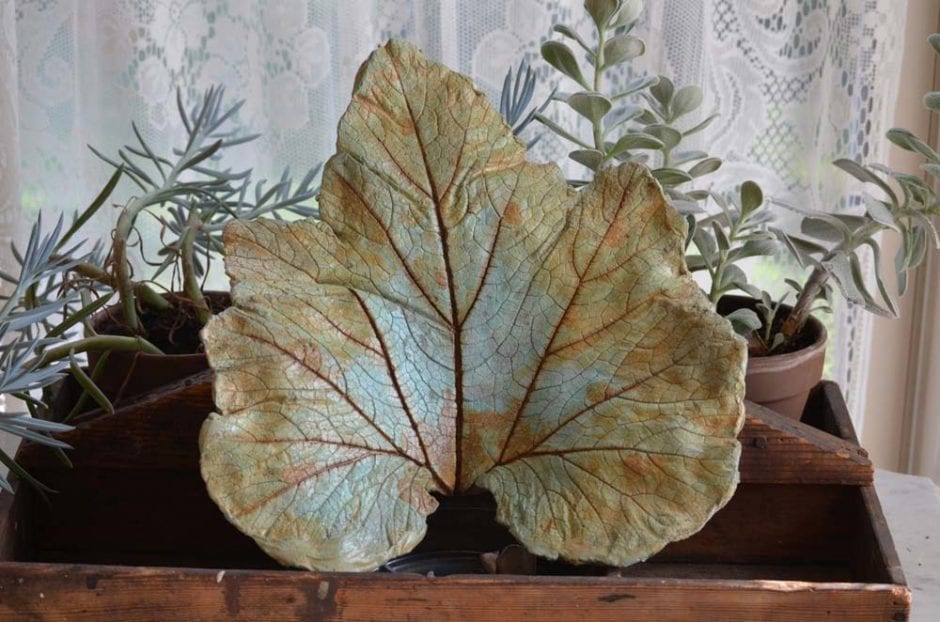 Deco Gel Acid Stain Concrete Leaf