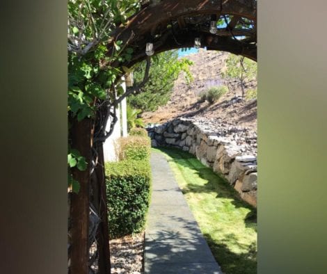 Concrete Walkway Stained with Olive and Black Antiquing Stains. Sealed with Satin Finish Solvent Based Acrylic Concrete Sealer