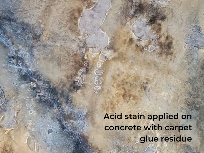 What happens when acid stain is applied without removing carpet glue