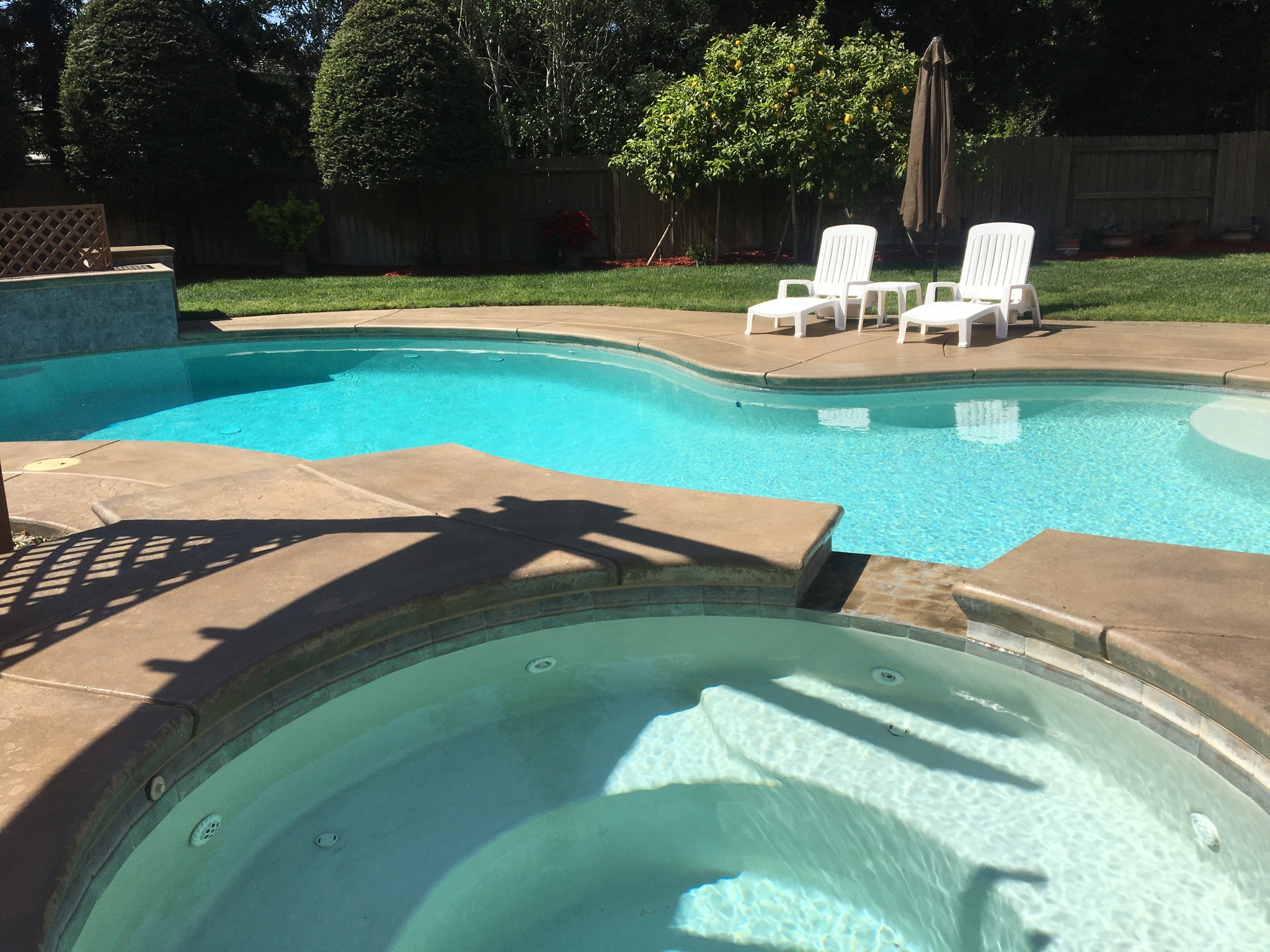 Khaki Stained Stained Concrete Pool Deck