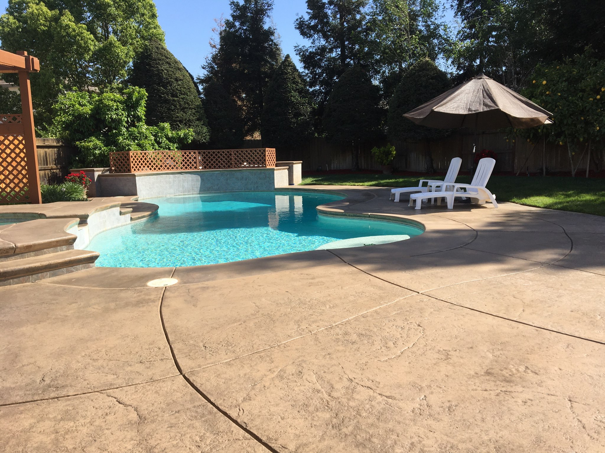 Khaki Stained Stained Concrete Pool Deck