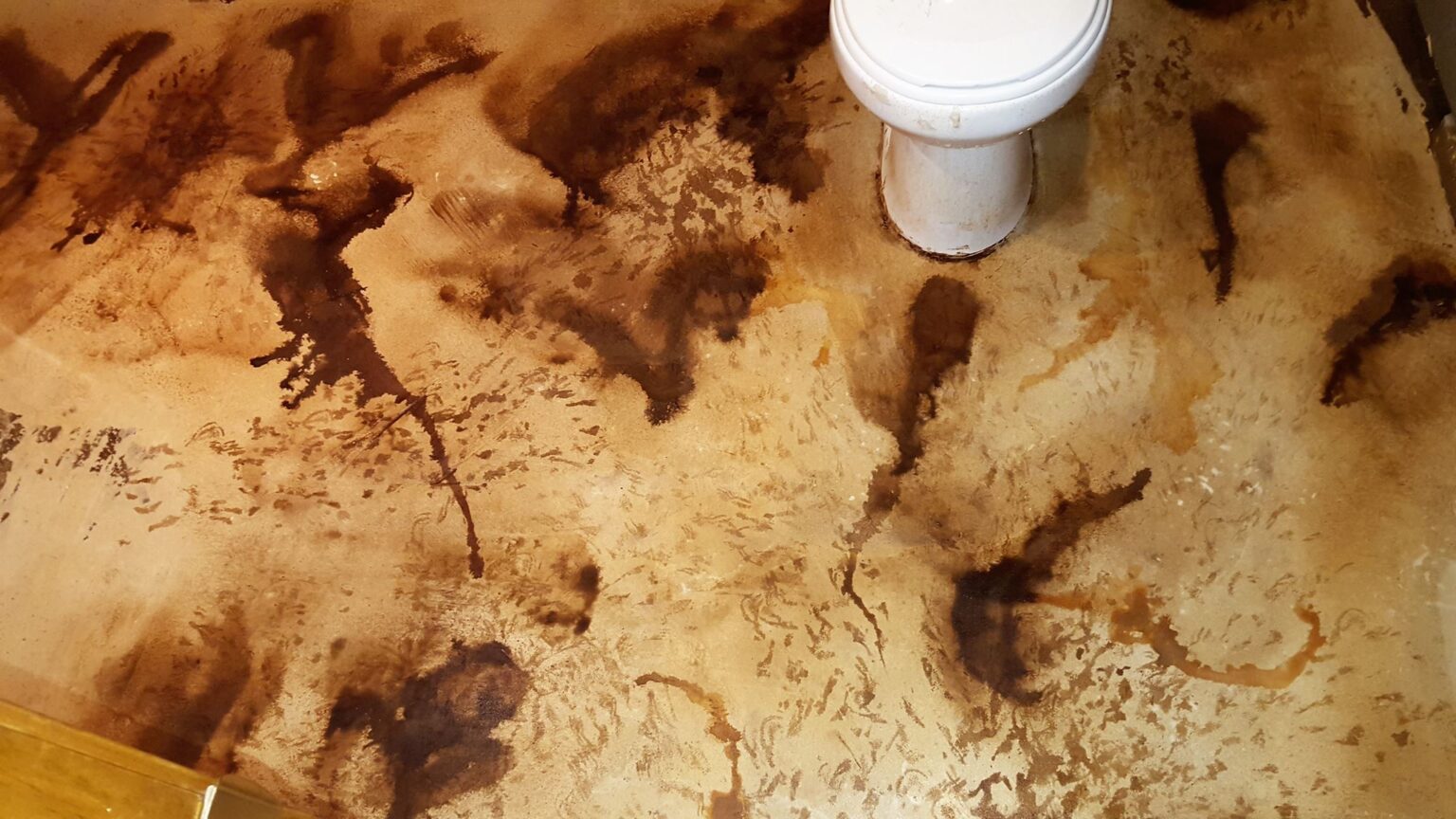 DIY Guide to Staining Concrete Floors in Your Bathroom