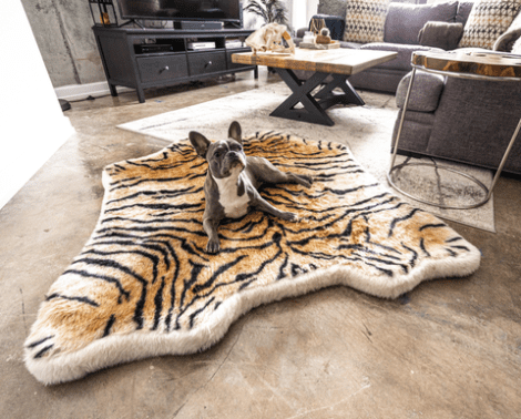 Colored Concrete Sealer Decor