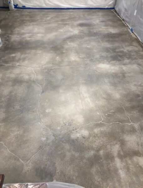 After a coat of grey was applied After a coat of grey was applied