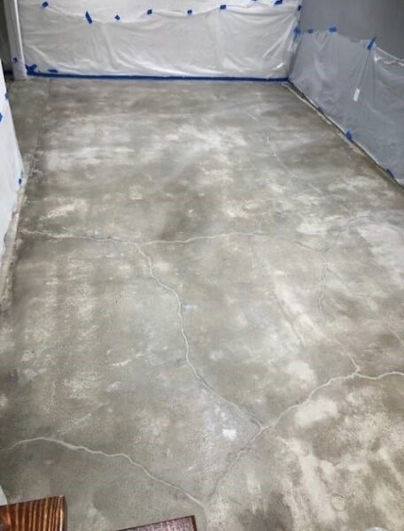 After coat of white was applied After coat of white was applied