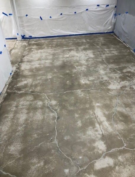 After primer coat sealer dried After primer coat sealer dried