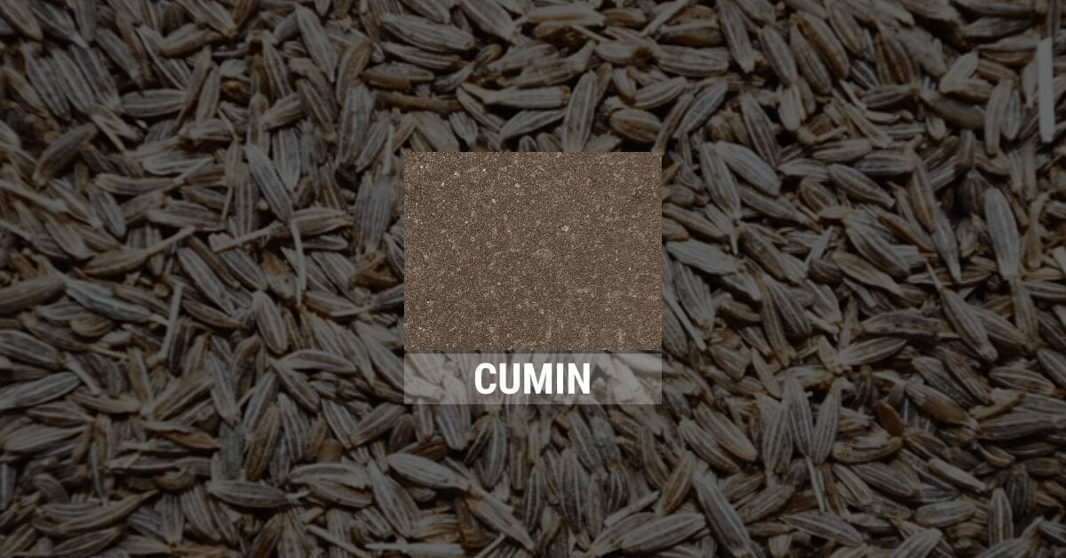 Cumin Outdoor Concrete Stain Image Gallery | Direct Colors