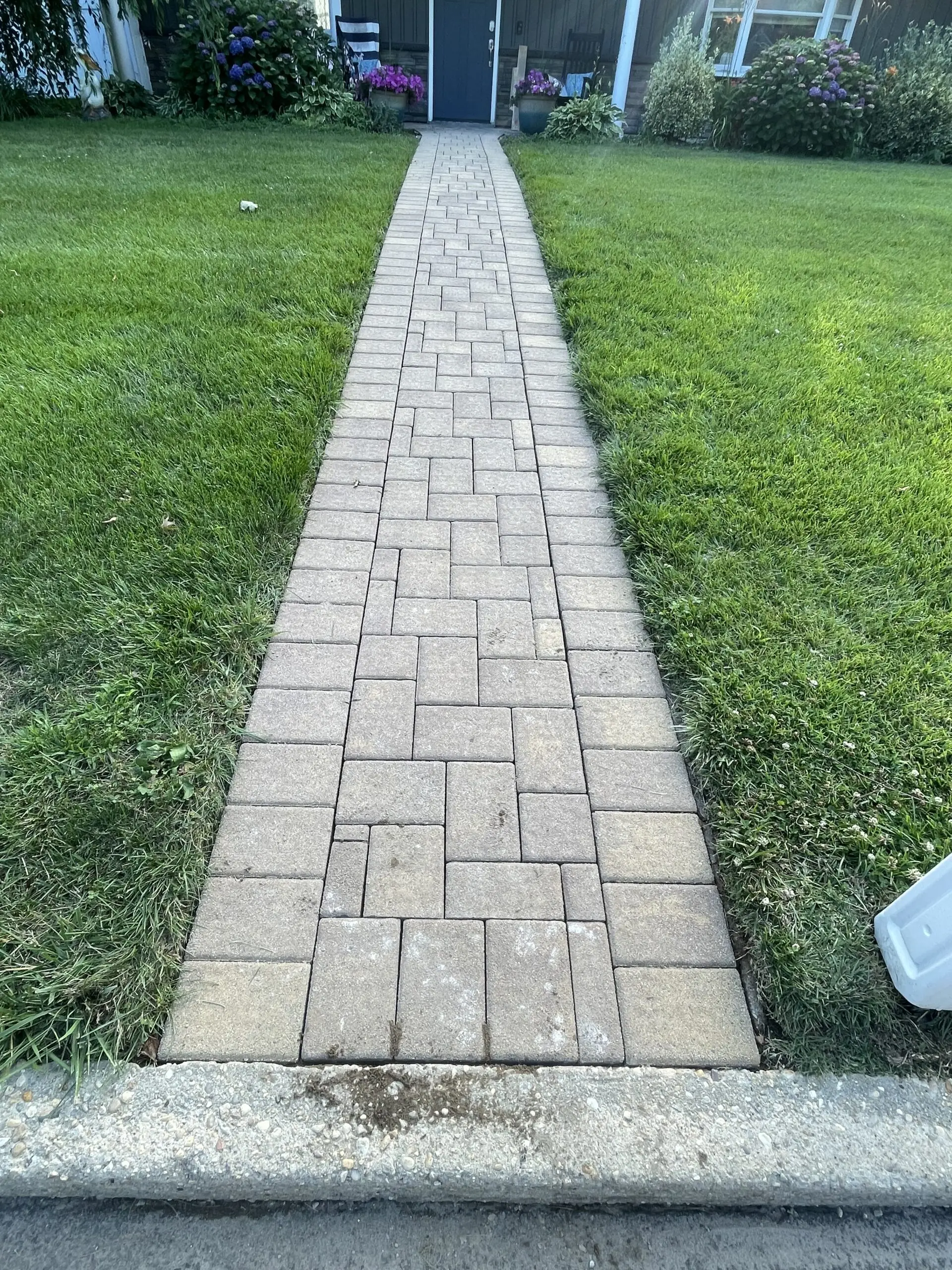 Before renovation: Old paver walkway before cleaning and releveling.