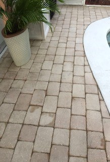 Faded pool deck pavers