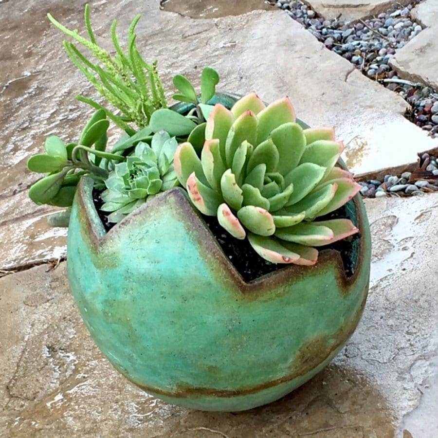 A DIY concrete planter colored with concrete stain is filled with succulents.