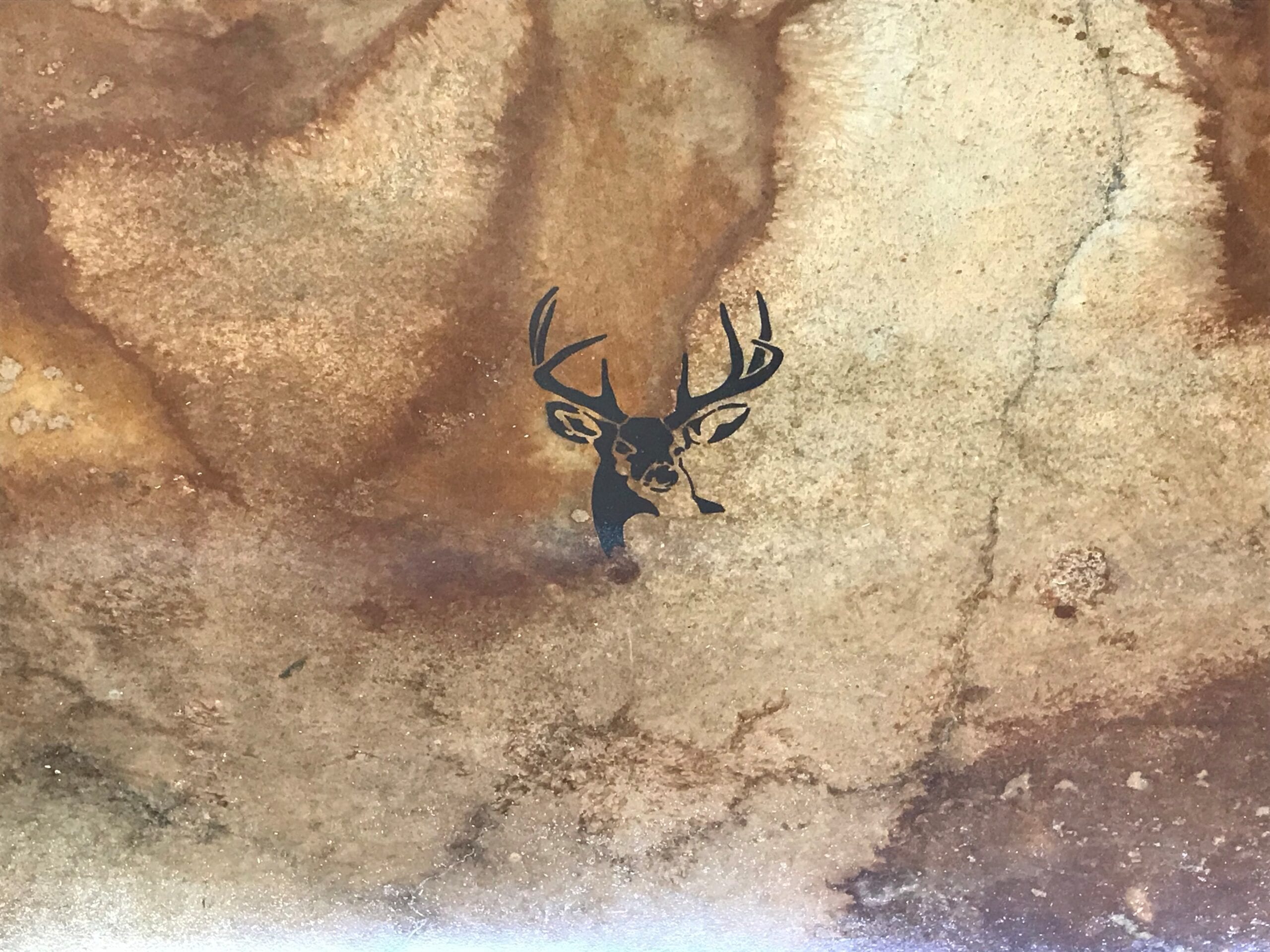 Black stenciled deer on beautifully stained garage floor