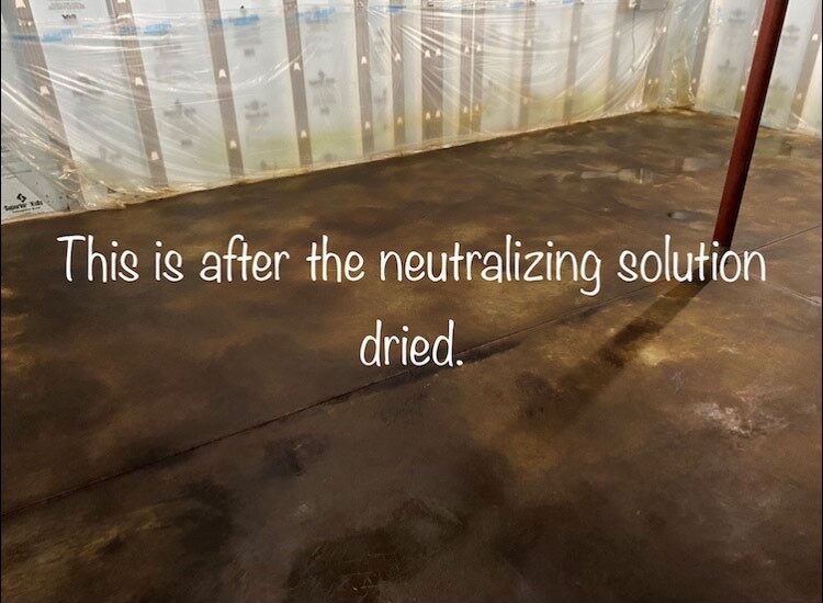 Neutralizing Acid Stain: In this image, the acid-stained floor has been treated with the ProClean Neutralizer solution, which has now dried, preparing the surface for the next steps in the process.