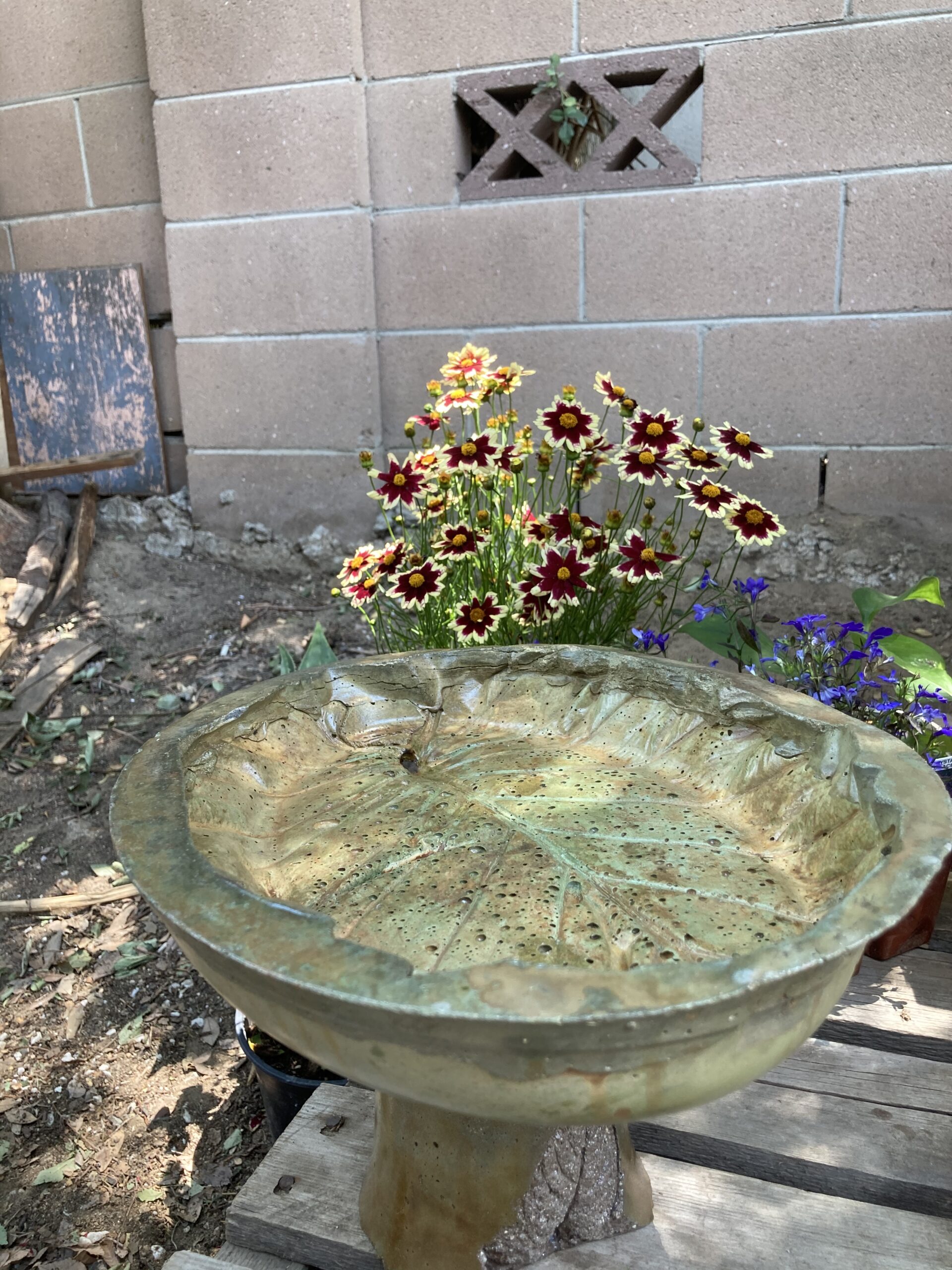 Concrete Birdbath Stained with Avocado and Desert Amber EverStain Acid Stains
