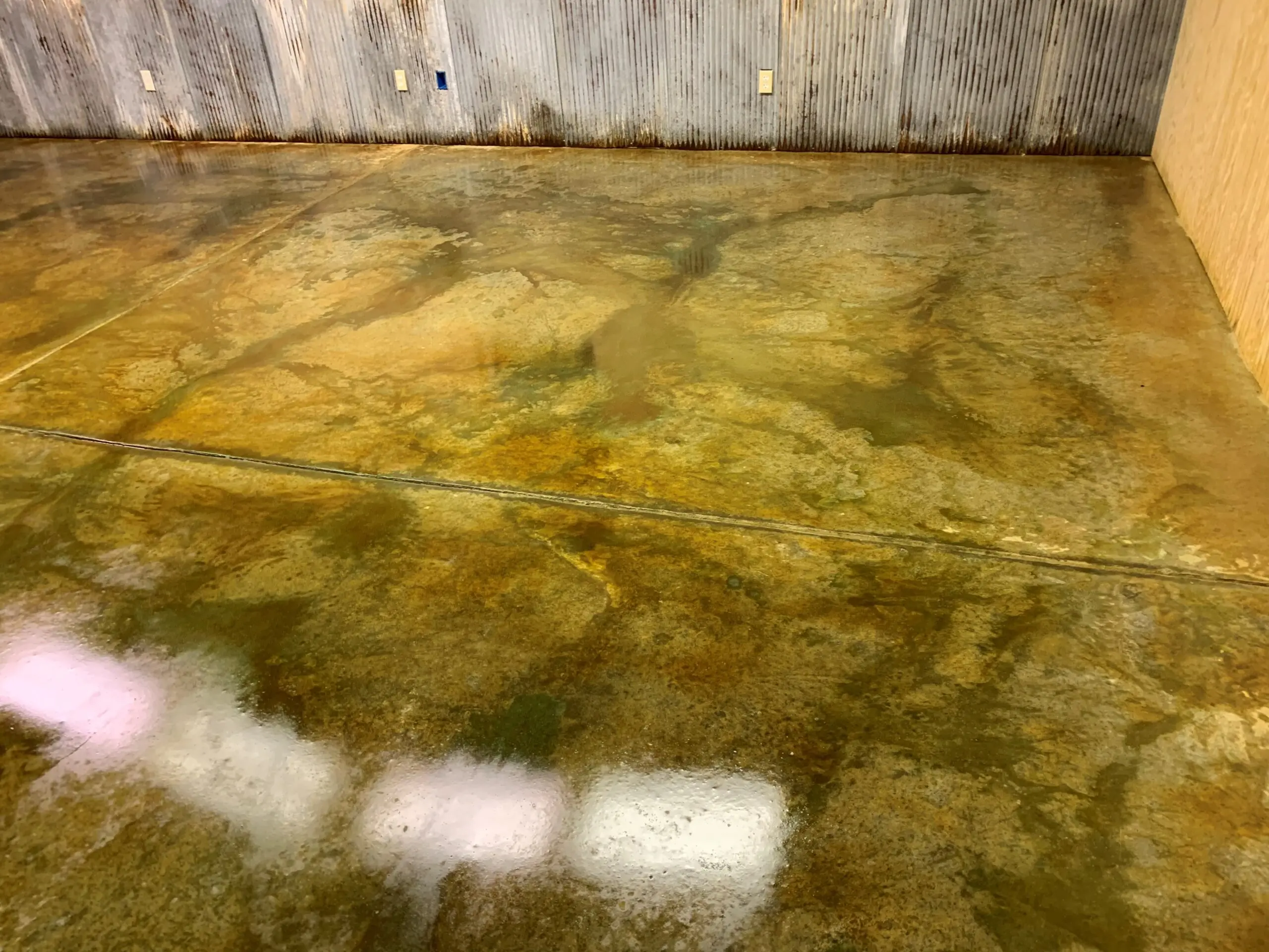 A concrete floor freshly sprayed with Avocado and Malayan Buff acid stains from EverStain, showing a raw and unsealed look