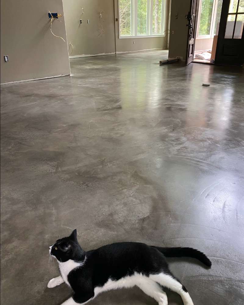Close-up of the finished floor with a relaxed cat enjoying its new spot.