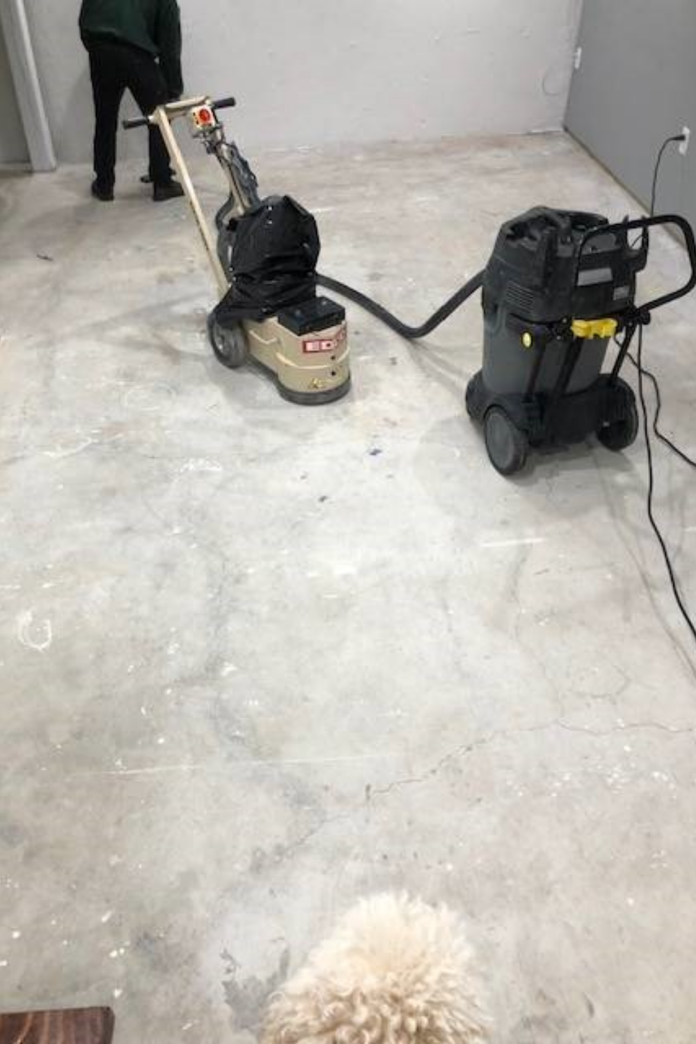 A DIYer using a rented concrete grinder to remove old stains, paint, and overspray from the basement floor