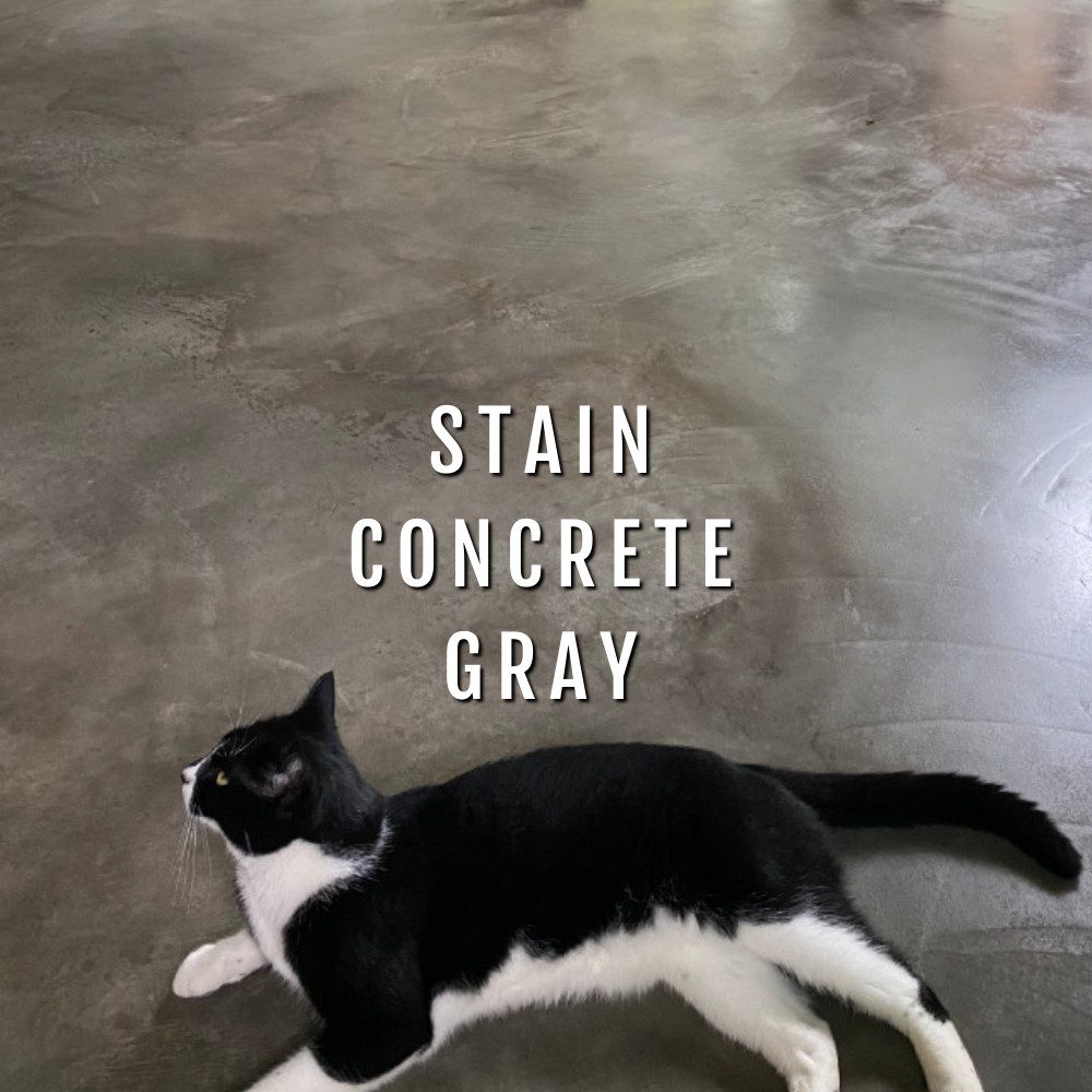 Stain Concrete Gray