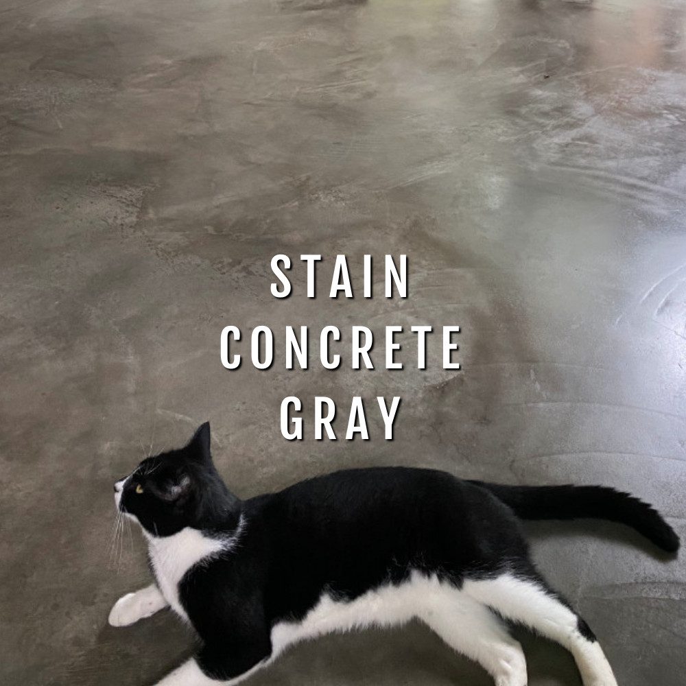 Stain Concrete Gray
